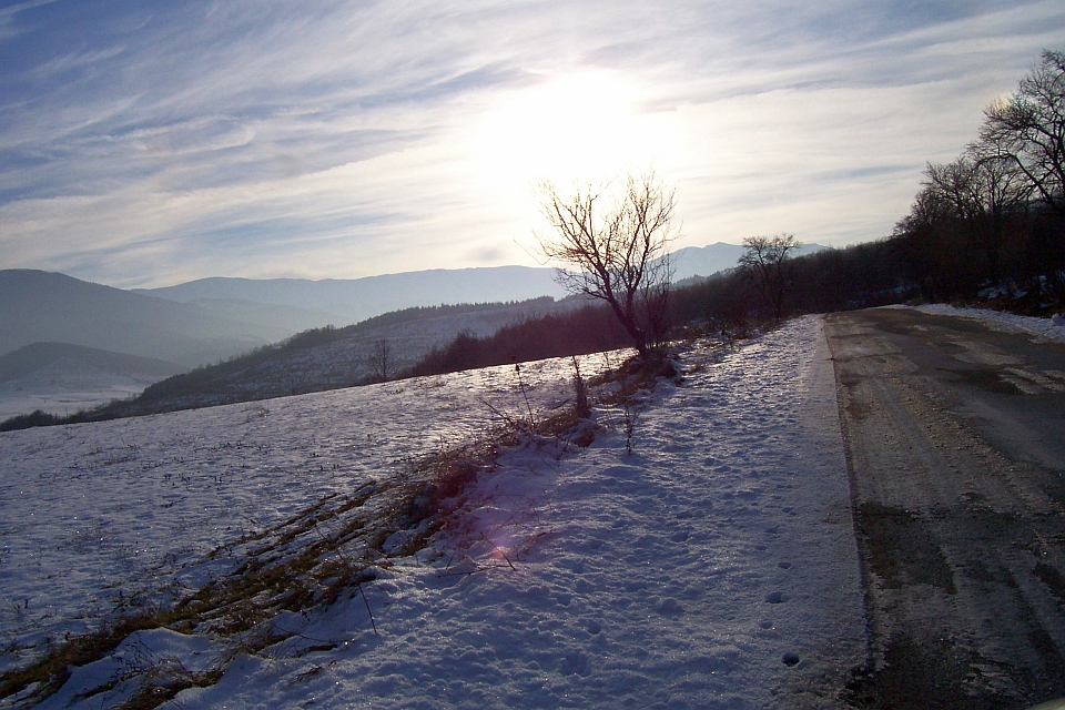 Snow-Covered Field