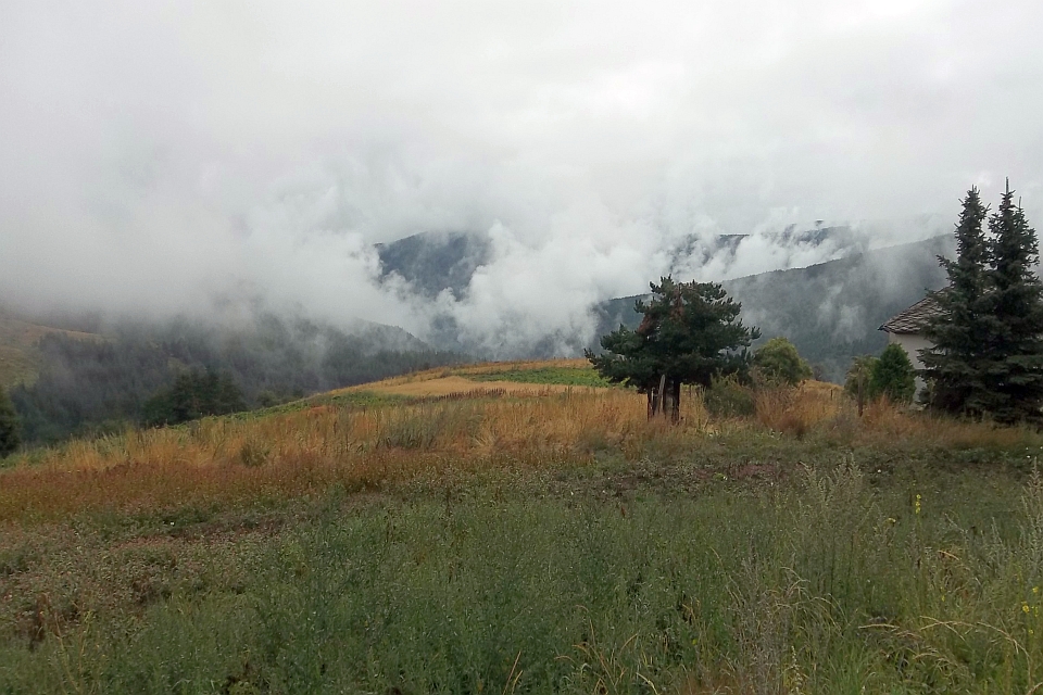 Foggy Mountain Landscape