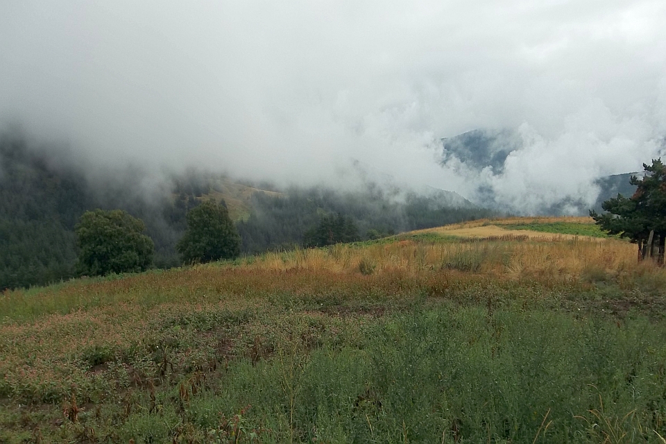 Misty Mountain Landscape