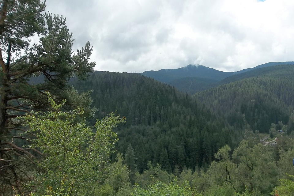 Mountainous Landscape