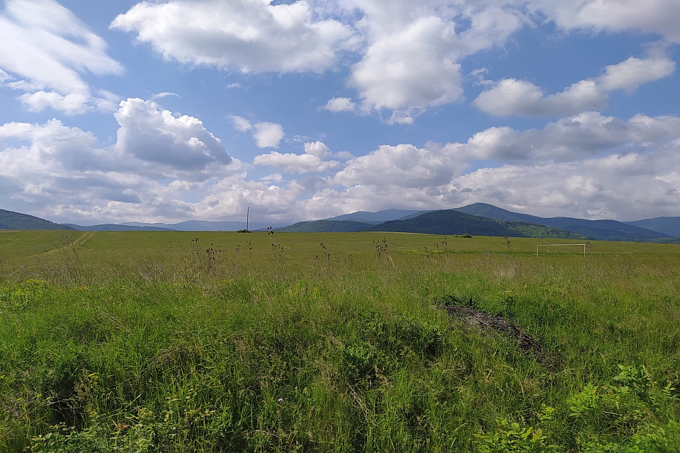 Green Grassy Field With Mountains