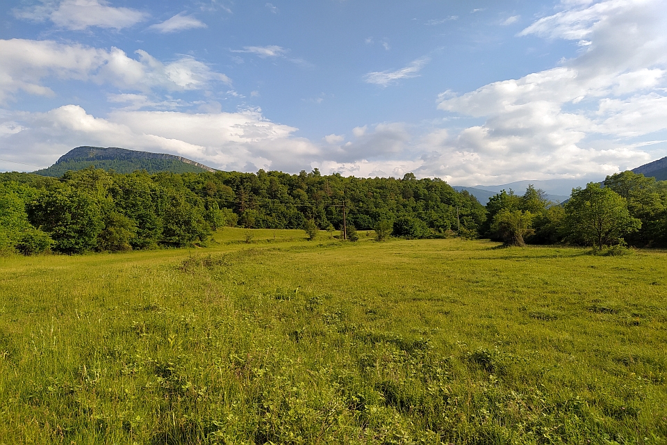 Grassy Field Stretches Out Before A Line Of Trees