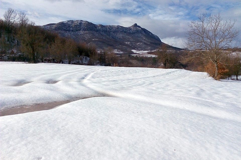 Snow-Covered Field