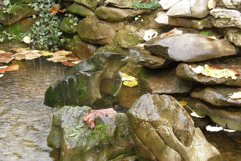 Small Pond Or Stream