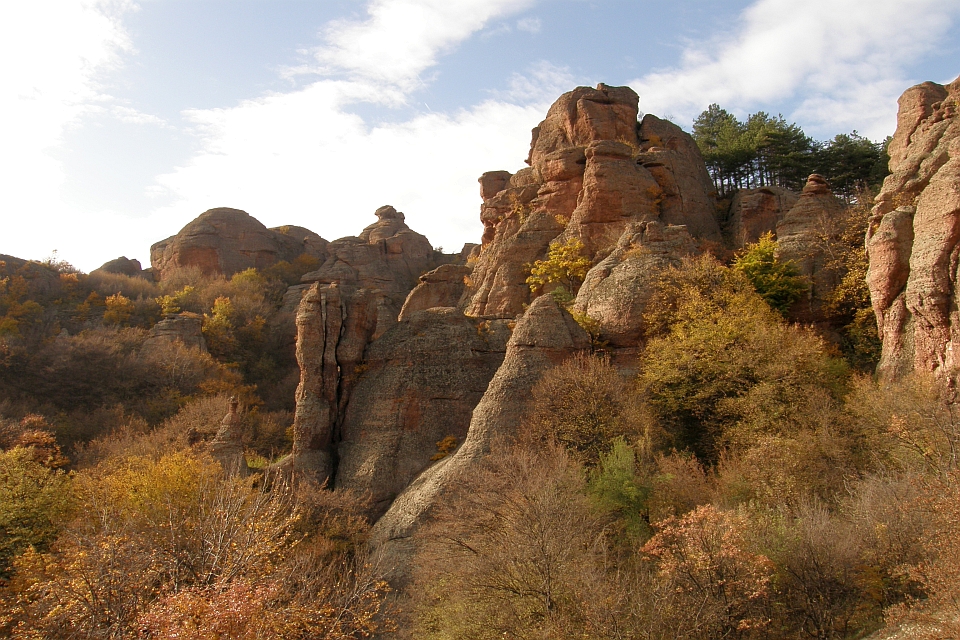 Autumnal Forest With Unique Rock Formations