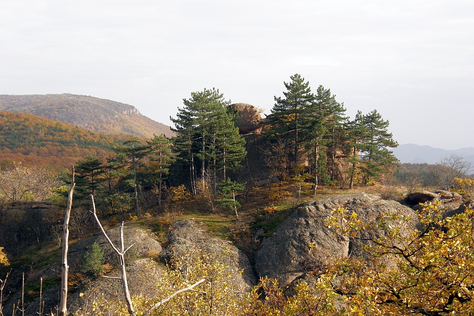 Rocky Outcrop Topped With Evergreen Trees