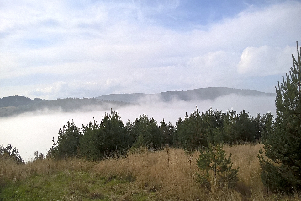 Misty Mountain Valley