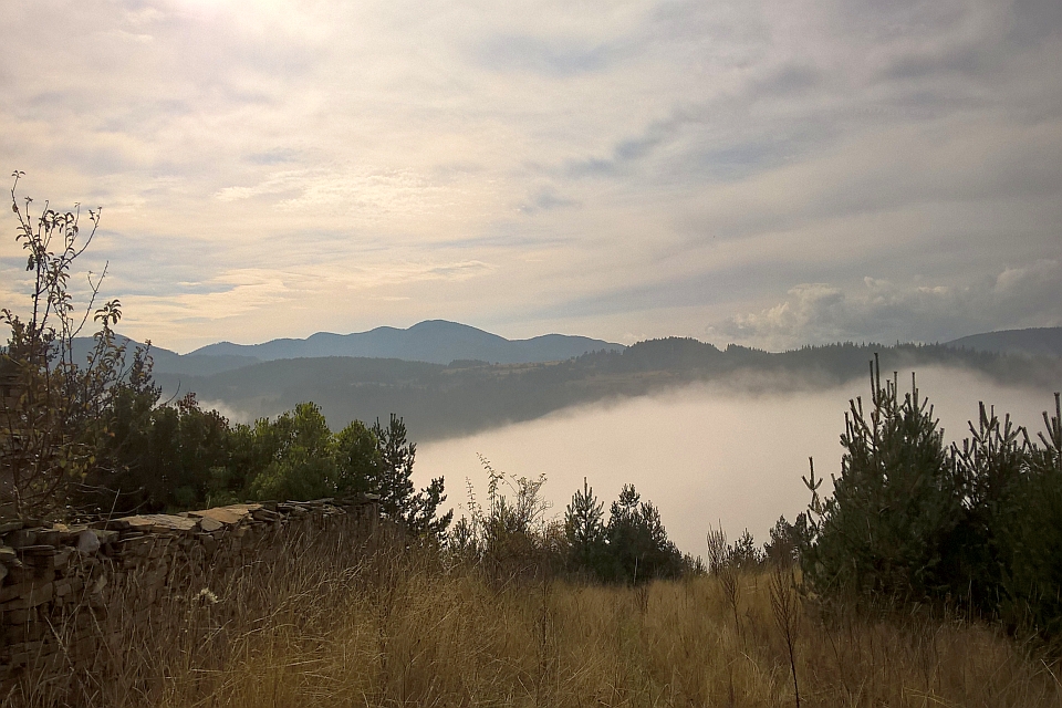 Misty Mountain Valley Scene