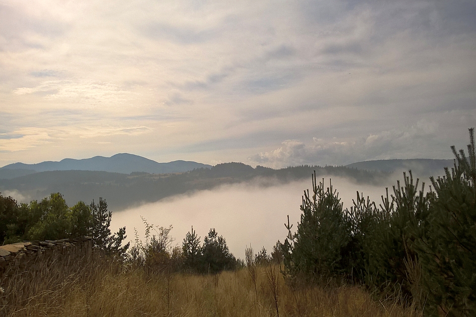 Misty Mountain Valley