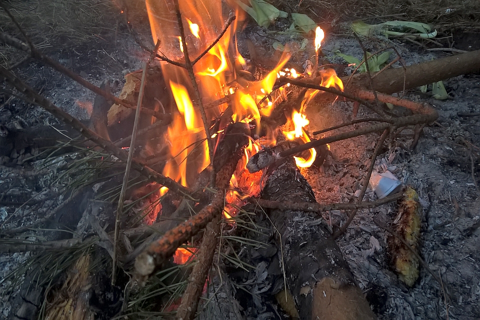 Bonfire Burning Brightly