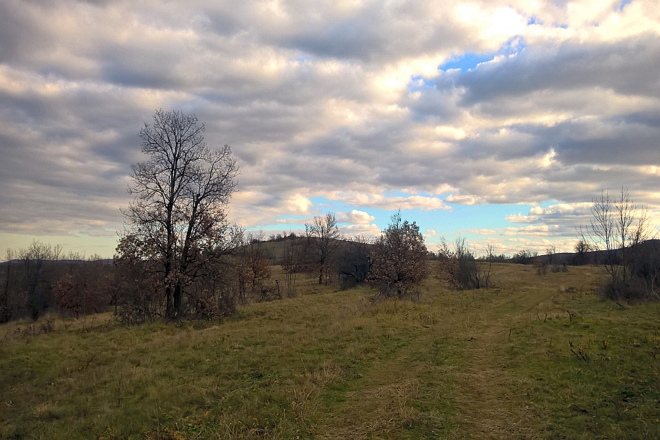 Mostly Cloudy Sky Over A Grassy Field