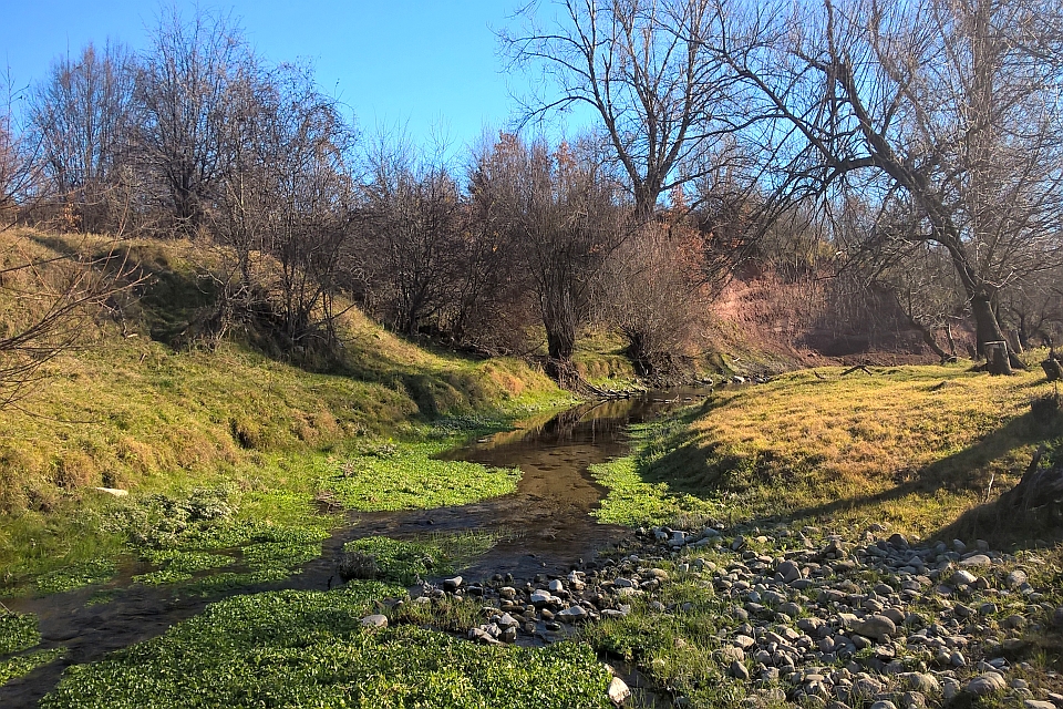 Small Stream Flows Through A Grassy Area