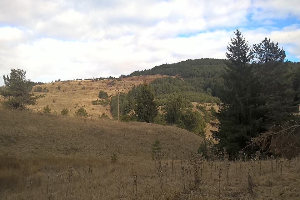 Grassy Hill With A Few Trees In The Foreground