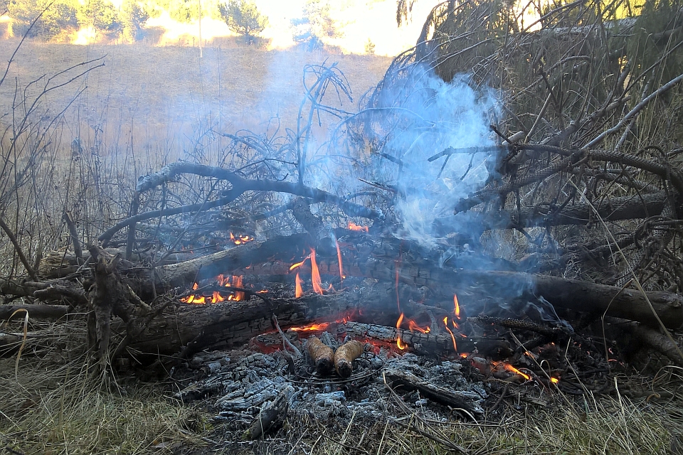 Bonfire Burning In A Pile Of Branches And Logs