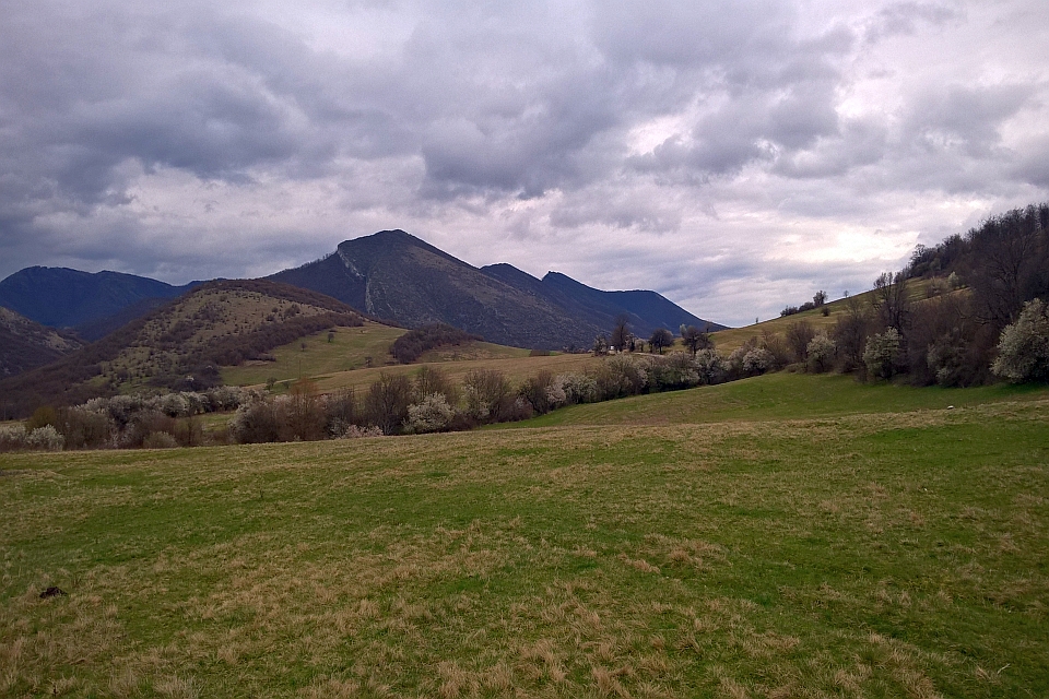 Green Field With Mountains In The Background