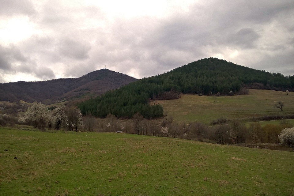 Two Tree-Covered Hills