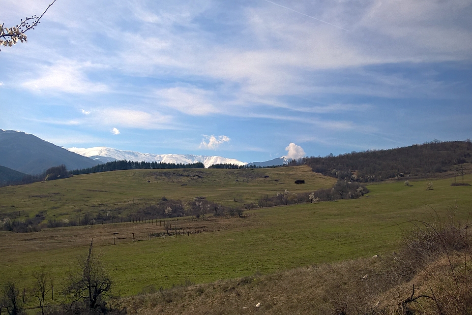 Sprawling Green Field