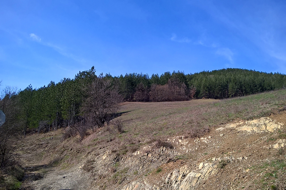 Mostly Barren Hillside