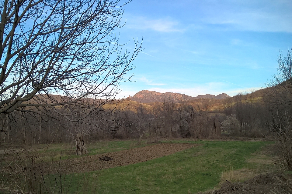 Field In Front Of A Mountain Range