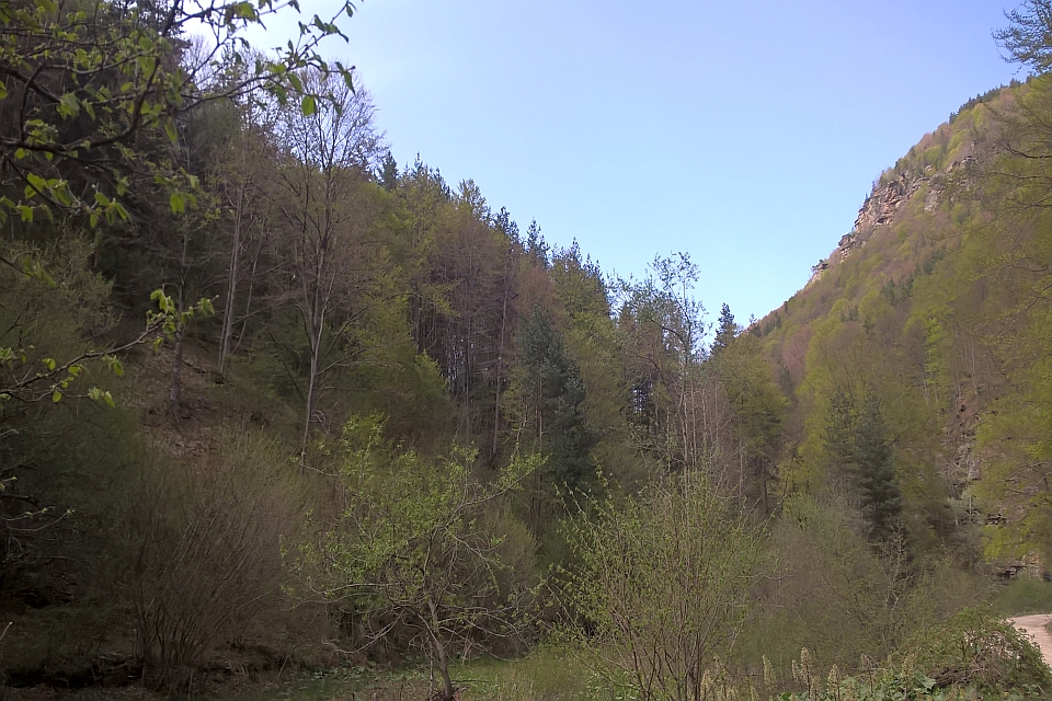 V-Shaped Valley With Lush Green Trees