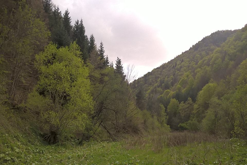 V-Shaped Valley Filled