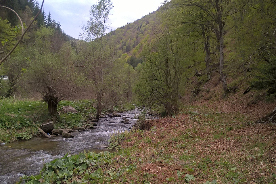 Small Stream Flows Through A Lush Green Valley