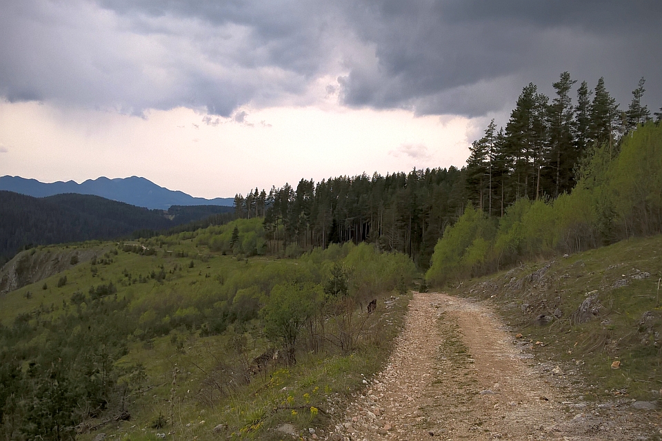 Dirt Road Winds Through A Mountainous Landscape