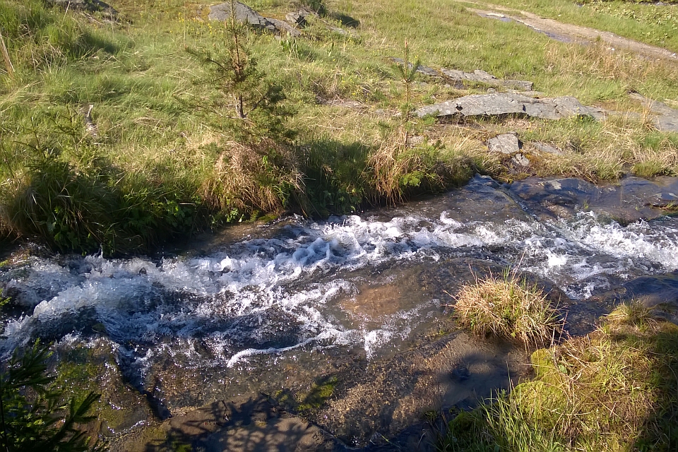 Rocky Stream Flows Over Moss-Covered Stones