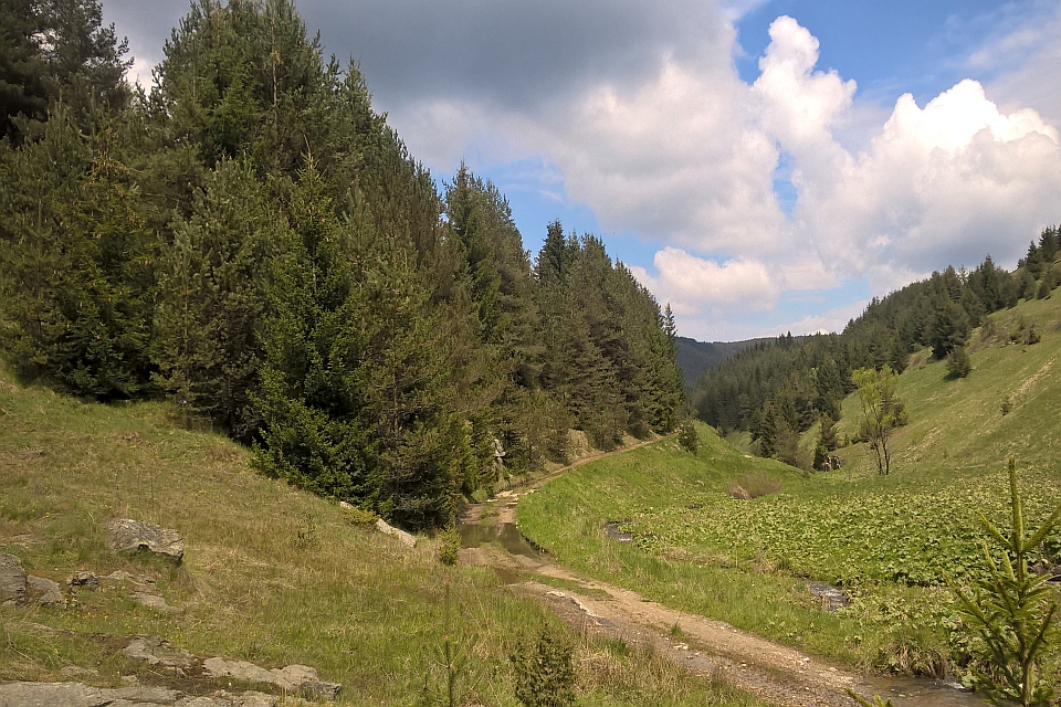 Dirt Road Winds Through A Valley