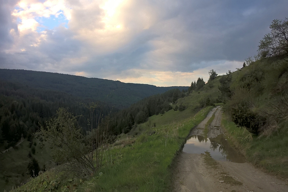 Dirt Road Winds Through A Lush Green Valley