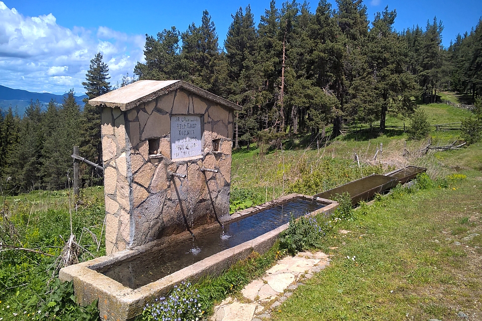 Stone Water Fountain In A Forest