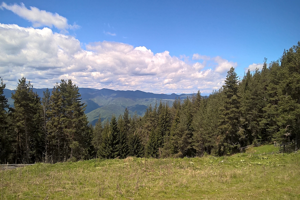 Mountain View From A Grassy Clearing