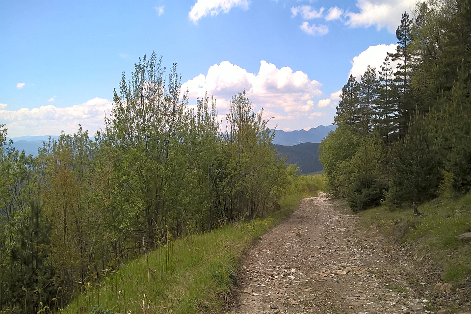 Gravel Road Winds Through A Landscape