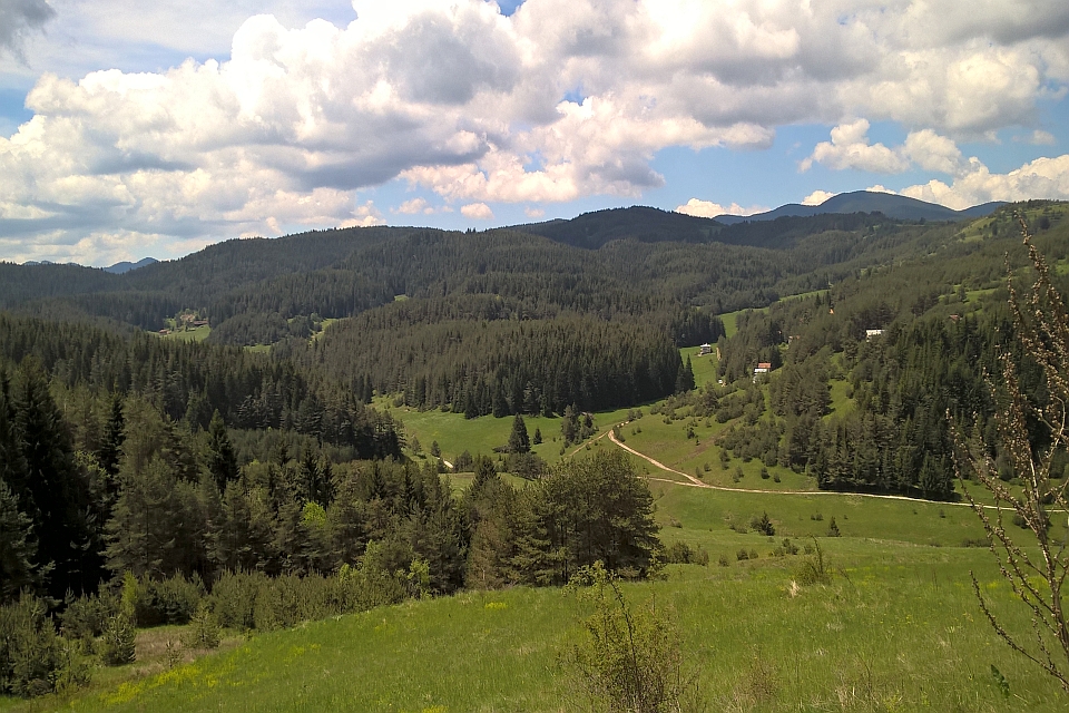 Panoramic View Of A Verdant Valley