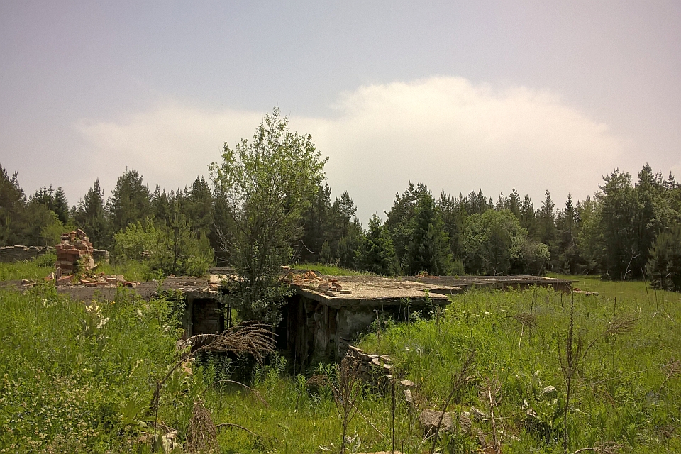 Overgrown Ruins Of A Building In A Forest Clearing