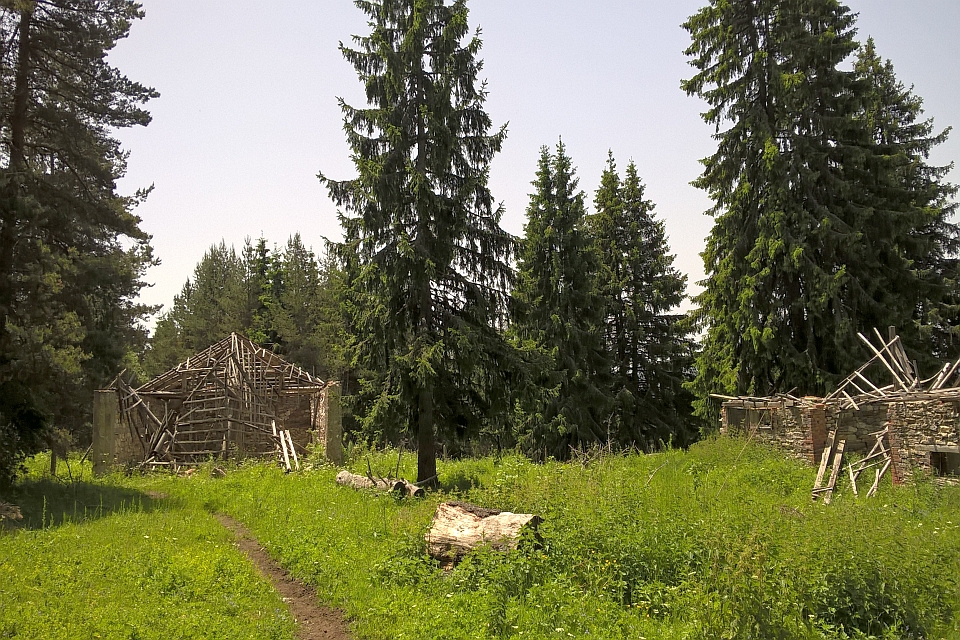 Ruins Of A Wooden Structure