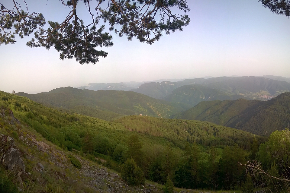 Mountain Vista With Lush Green Forests