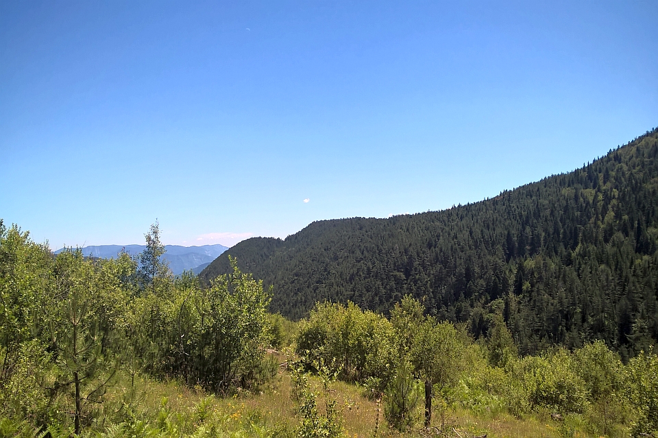 Forest And Mountains Under A Clear Blue Sky