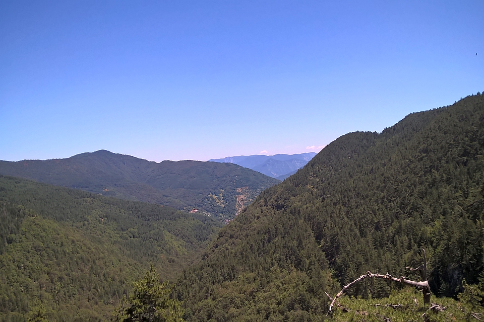 Mountain Valley View