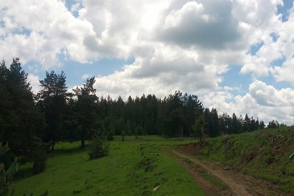 Dirt Road Winds Through A Grassy Clearing