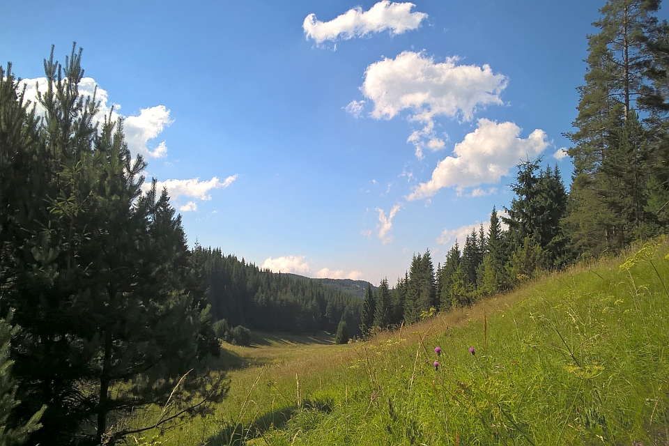Sunny Day In A Mountainous Area