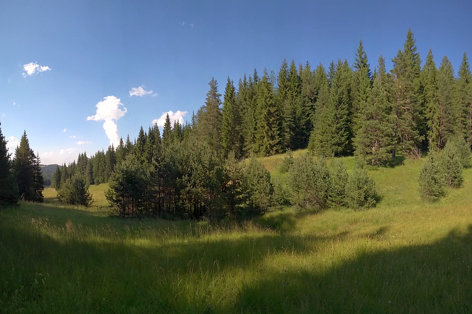 Sunny Day In A Green Valley