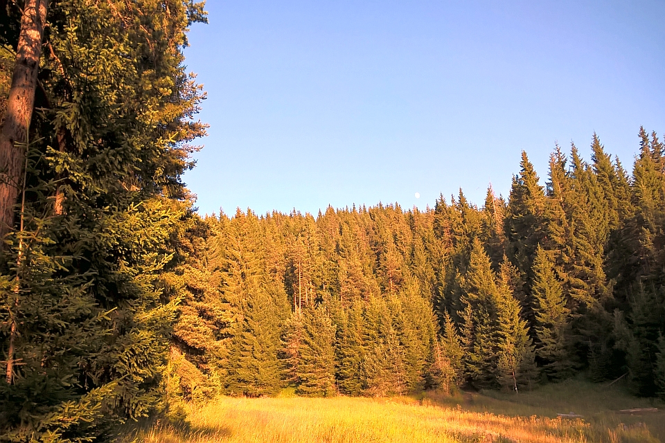 Golden Hour Sunlight