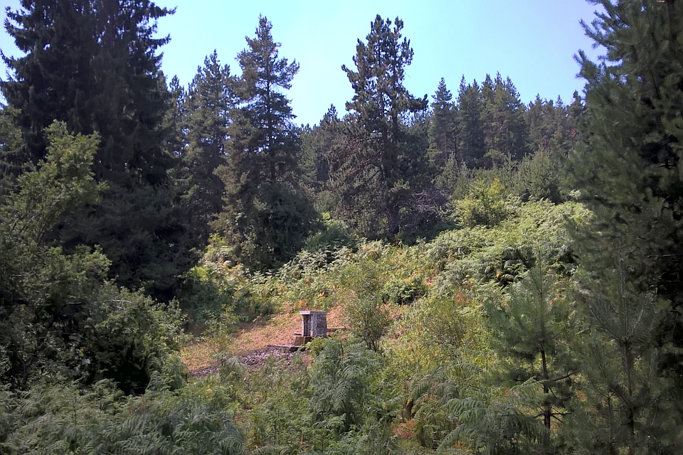 Small Stone Structure Sits In A Clearing