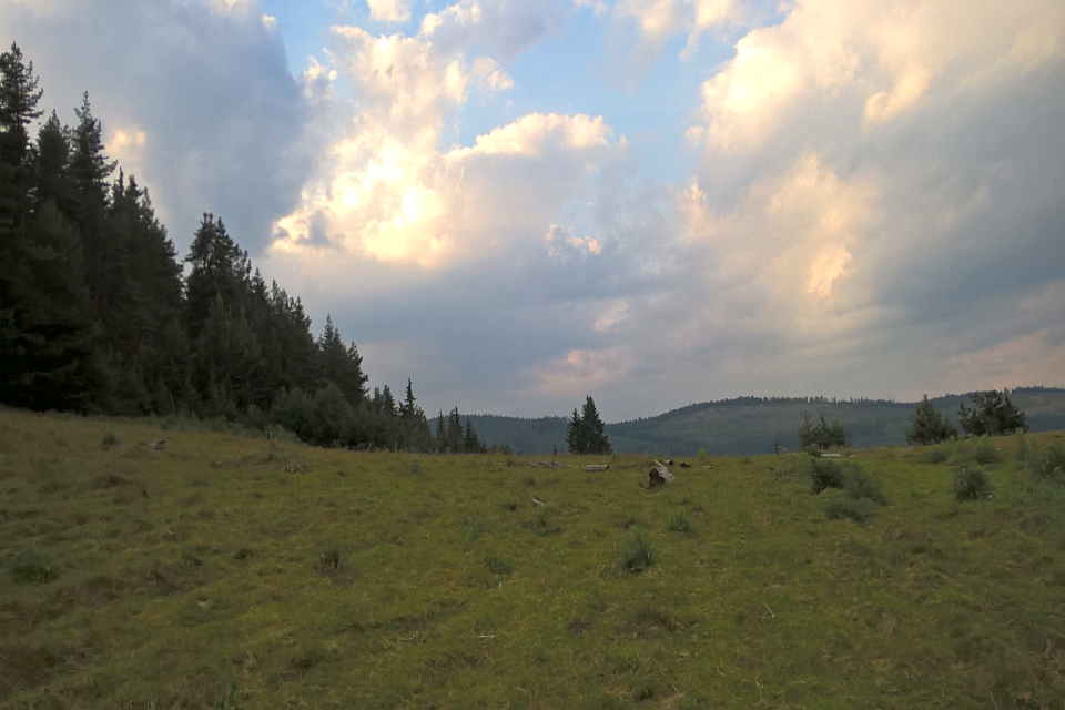 Sunset Over A Grassy Field