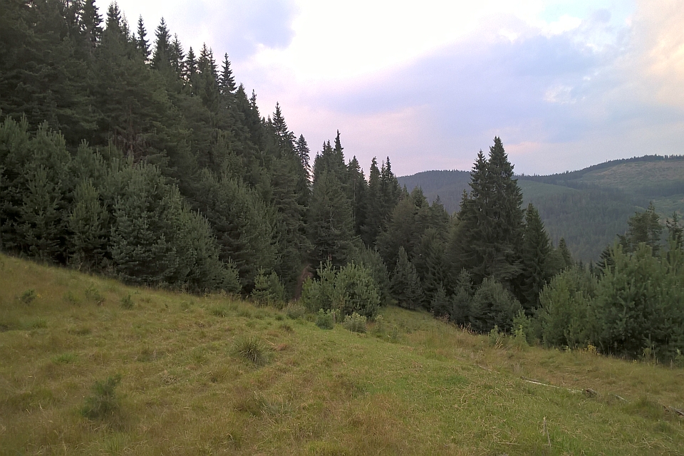 Grassy Hillside Slopes