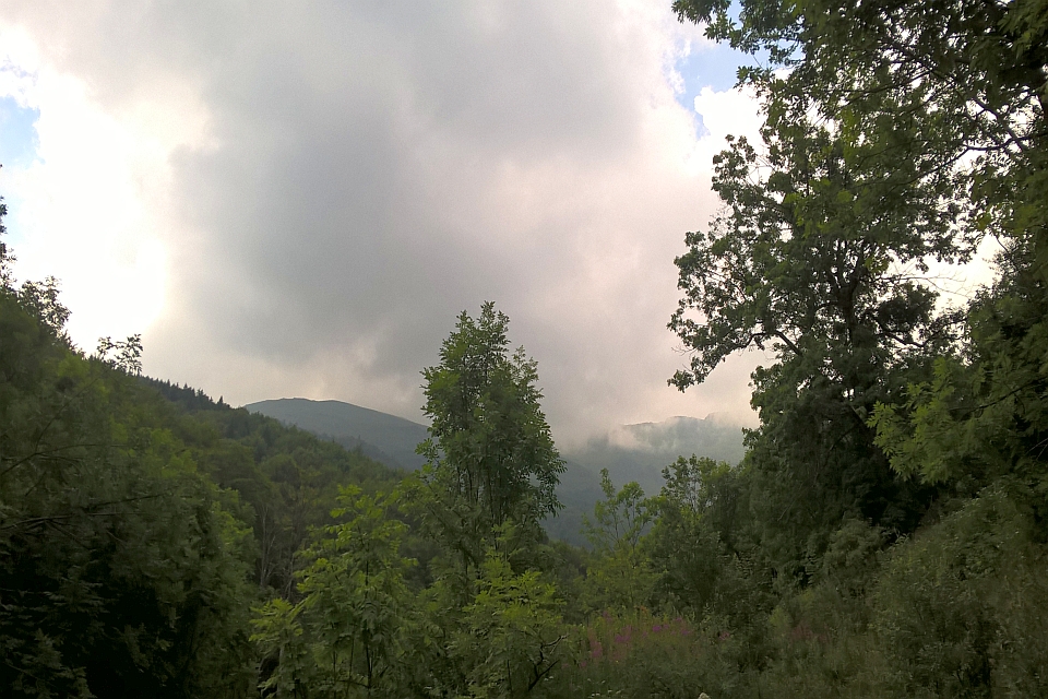 Cloudy Mountain View