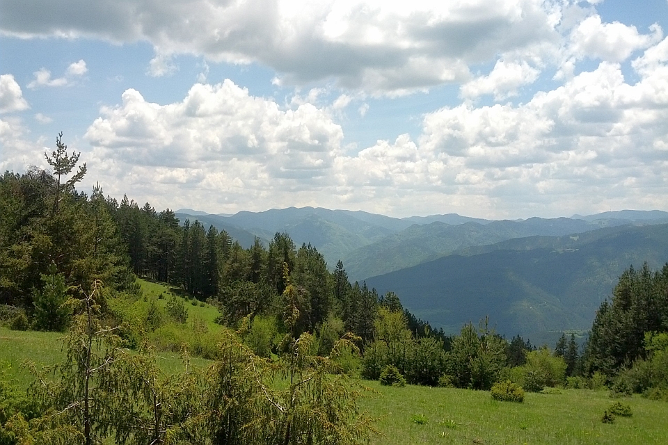 Mountainous Landscape