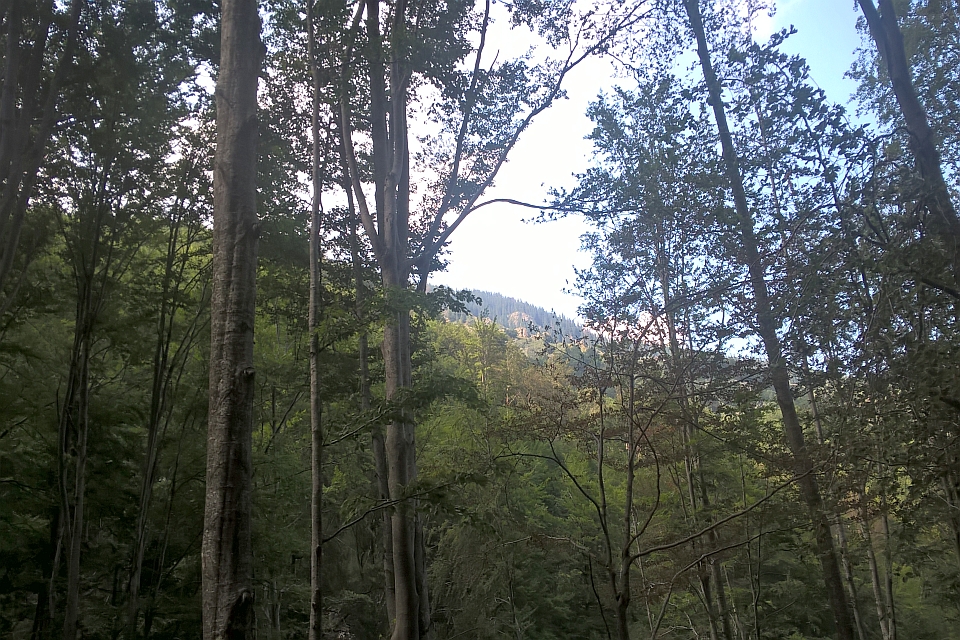 Stone Water Fountain In A Rural Setting