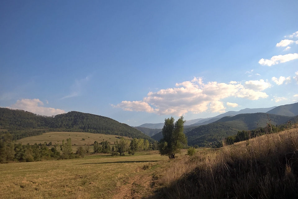 Grassy Field With A Dirt Path